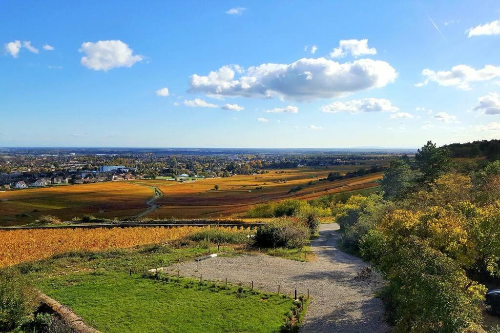 La Maison De L'Ecu : Charme Et Vue Incroyable Beaune  Ngoại thất bức ảnh